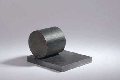 Ricardo FERNANDEZ (1947-2006) 

Untitled, 1998


Welded steel.


Monogrammed and...