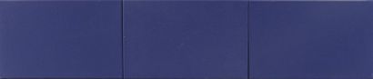 Alicia HERNANDEZ et Ricardo FERNANDEZ (XXe) 

Blue (walrus), 1998-2008


Triptych....