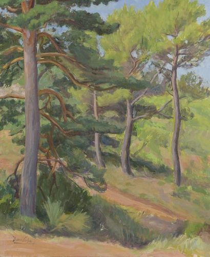 null Marcel DAMBOISE (1903-1992)


ARBRES (VAUCLUSE)


Huile sur panneau


Cachet...