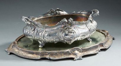 GALLIA 
Especially oval table in silvery...