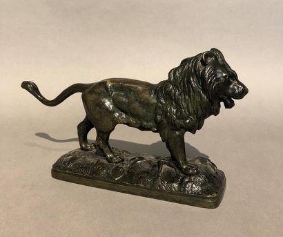 null Joseph CHEMIN (1825-1901)
Lion debout
Bronze à patine brune, signé, petites...