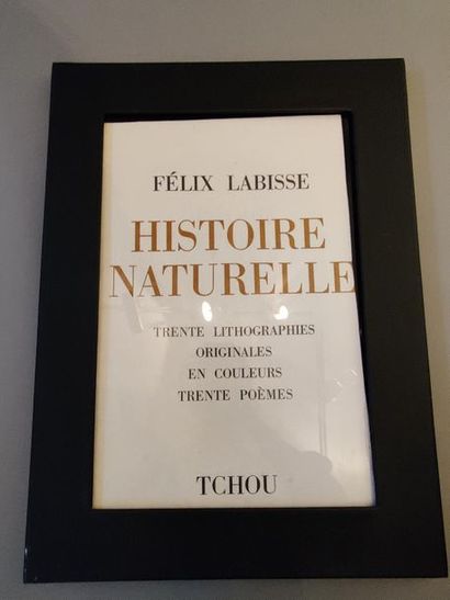 null Félix LABISSE (1905-1982)
Histoire naturelle
Deux emboitages comprenant 29 et...