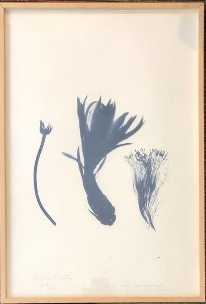 null Lourdès CASTRO (1930)
L'ombre d'une fleur de Madère pour le jardin du Maroc
Ombre...