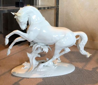 null ROSENTHAL
Cheval cabré
Sujet en porcelaine émaillée blanche
Petits accidents...