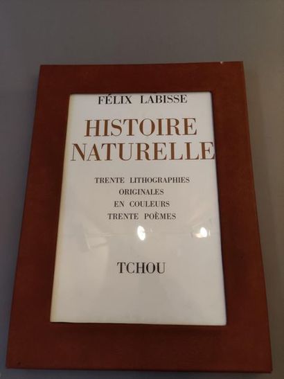 null Félix LABISSE (1905-1982)
Histoire naturelle
Deux emboitages comprenant 29 et...