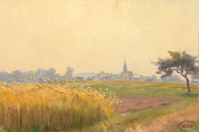 Charles WISLIN (1852-1932)

Vue du village...