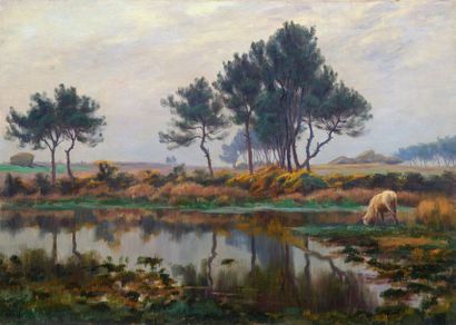 Charles WISLIN (1852-1932)

Horse drinking,...