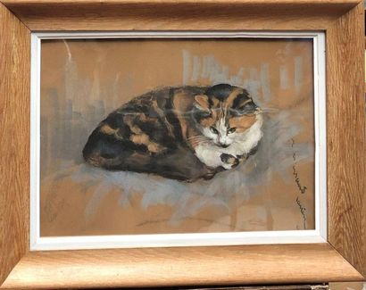 null Jean Albert GRAND-CARTERET (1903-1954)

Lying cat 

Pastel on paper.

Signed...