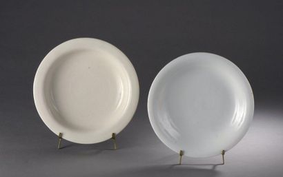 null TWO PLACES in monochrome porcelain with a thick glaze, called ''blanc de Chine'',...