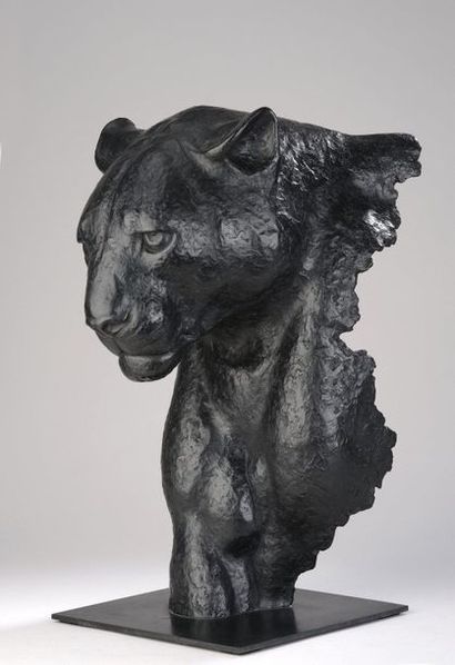 null Florence JACQUESSON (1962)

Fragment of black panther

Bronze with black patina.

Signed...