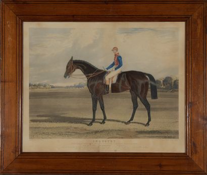 null After John Frederick HERRING (1795-1865)

Priam, Winner of the Derby Stakes...