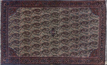null SENEH rug with botehs around a small medallion. Border of stylized flowers on...