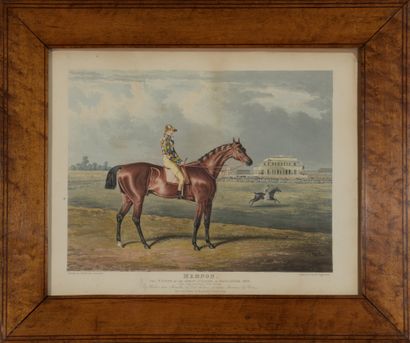  Thomas SUTHERLAND (c.1785 - c.1820) 
Memnon, Winner of the Great St Leger at Doncaster,...