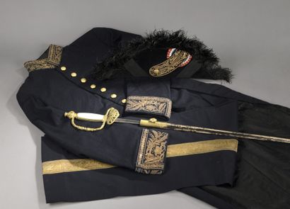 null OFFICIAL COSTUME OF A STATE OFFICIAL including?:

- a dark blue cloth suit,...