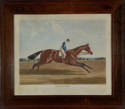 null John HARRIS (1811-1865), Charles HUNT (18037-1877)

Blue Bonnet, The Winner...