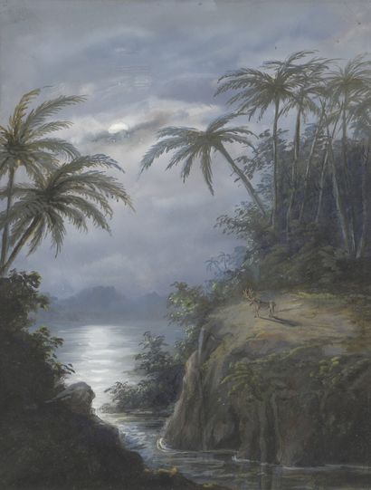 null 19th century EUROPEAN School

Tropical moonlight and waterfall, Brazil (?)

Pair...