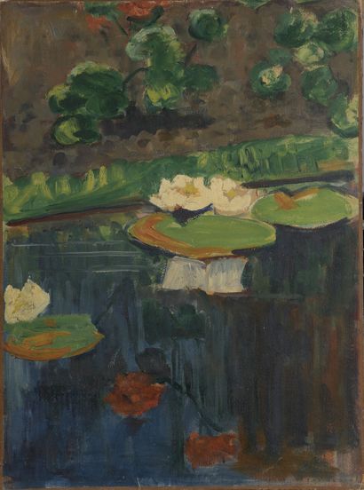 null Henri Julien DUMONT (1859-1921)

Water lily pond

Oil on paper mounted on canvas.

Signed...