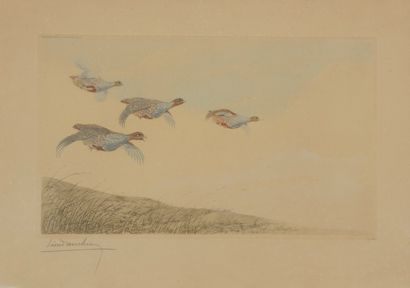  Léon DANCHIN (1887 - 1938) 
Pheasant - Partridge robbery. 
Two signed colour engravings....