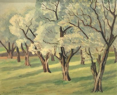  Pierre SICHEL (1899-1983) 
Trees 
Oil on canvas, signed lower left 
49 x 60 cm