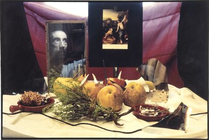 null 
David NEBREDA (born 1952)





Correggio's apples, 1989-1990





Photography....