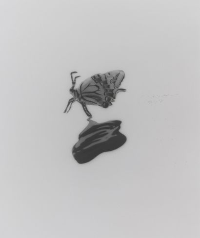 null Yuki ONODERA (born 1962)

Liquide tv and insect, n°1, 2002

Photograph, signed,...
