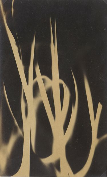 null 
TATO (Guglielmo SANSONI, known as) (1896-1974)





Untitled, abstract photograph,...