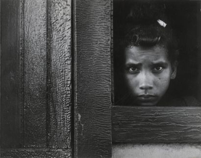 null 
Leon LEVINSTEIN (1913-1988)





Young girl, ca. 1965.





Photograph. Back...