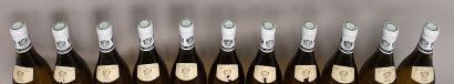 null 11 bouteilles CHASSAGNE MONTRACHET "Morgeot" - L. JADOT 1985 

Etiquettes légèrement...
