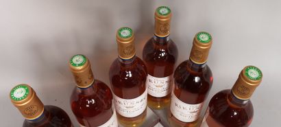 null 6 bouteilles Château RIEUSSEC - 1er Gcc Sauternes 1995. En caisse bois. 

Etiquettes...