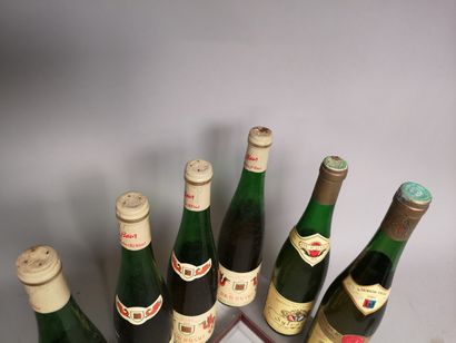null 6 bouteille VINS D'ALSACE 

A VENDRE EN L'ETAT 

1 TOKAY 1964 et 4 de 1979 plus...