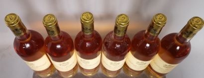null 6 bouteilles Château SUDUIRAUT - 1er Cc Sauternes 1996. En caisse bois.