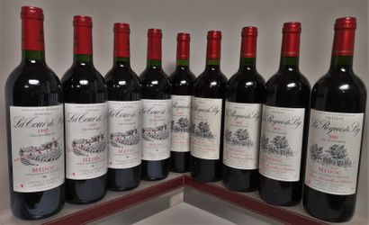 null 9 bouteilles Château LA ROQUE de BY - Médoc (4 en 1997, 2 en 2002, 3 en 2005)...
