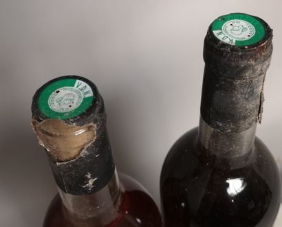 null 2 bouteilles RIVESALTES Domaine de La ROUREDE-PUJOL 

1 bouteille de Muscat...