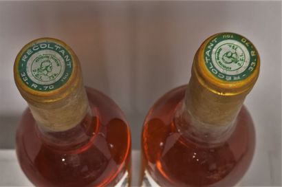 null 2 bouteilles Château de MALLE - 2é Cc Sauternes 1980 

Etiquettes légèrement...