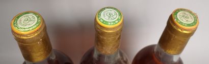 null 3 bouteilles Domaine de FILLAU - Sauternes 1988 

Etiquettes tachées, abimées....