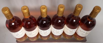 null 6 bouteilles Château RIEUSSEC - 1er Gcc Sauternes 1989. En caisse bois. 

Etiquettes...