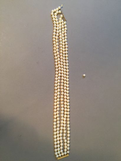 null Necklace of five rows of cultured pearls in choker, 18K yellow gold 750 ‰ bayonet...