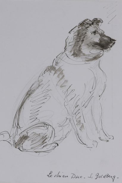 Simon GOLDBERG (1913-1985)


Le chien Duc


Encre...