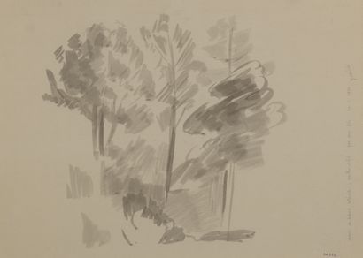 null Robert WLÉRICK (1882-1944)


Study of Pines (at Hossegor), 1928


Grey and brown...