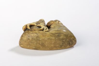 null Netsuke en ivoire, buffle allongé, un singe à ses côtés. Signé Kozan.


Japon,...