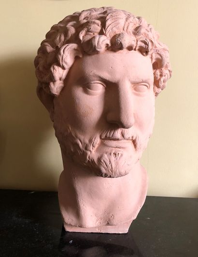 Terracotta bust of the Emperor Hadrian in...