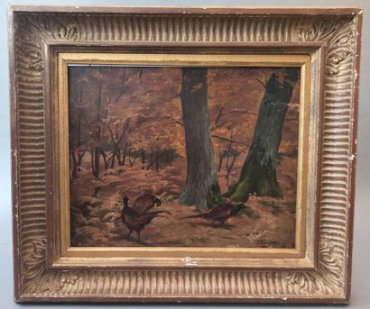 null Alfred THOMASSE (1876 ? - 1961 ?)


Paysage au bois


Panneau, une planche,...
