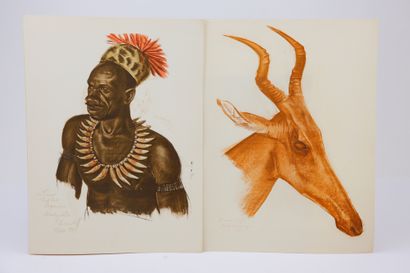 null Iacovleff, Alexander. - Drawings and paintings of Africa. Executed during the...
