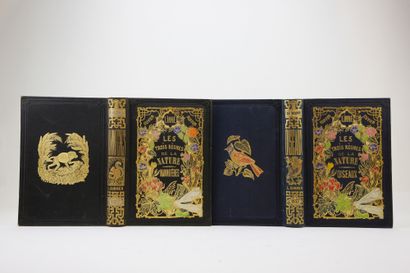 null Reunion of four volumes of the series "Les trois règnes de la nature", to which...