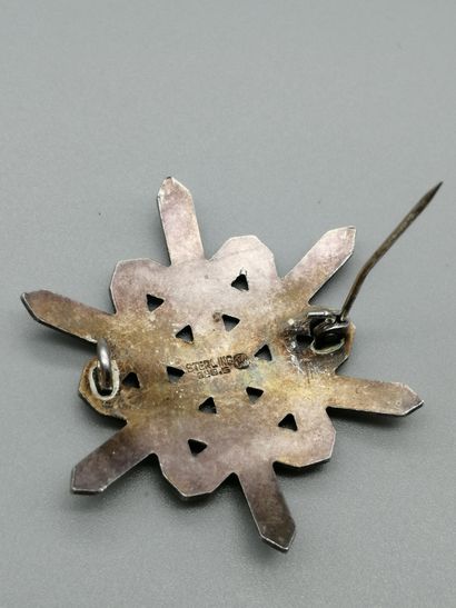 null Silver brooch 2nd title 800‰, in the form of a flake, enhanced with enamel.


Accidents...