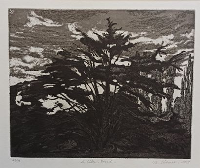 null Jean-Baptiste SECHERET (1957)


Lot including 3 prints :


- The cedar. Pasnel....
