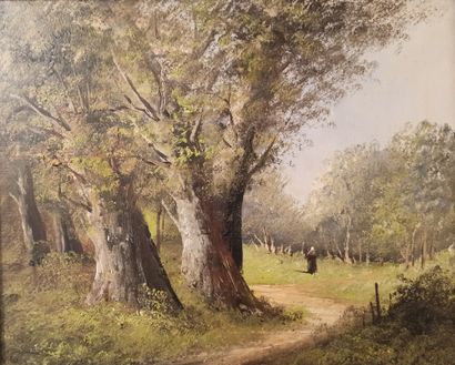 null L. HENRY (XIXe)


Paysanne en forêt 


Huile sur toile. 


Signée en bas à gauche....