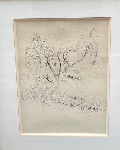 null Claire MANTOIS (20th century)

Landscapes, vineyards and portraits

15 ink drawings....