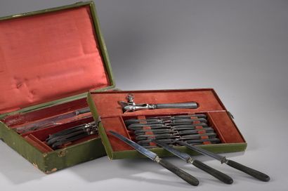 null SET OF TWELVE TABLE KNIVES AND TWELVE CHEESE KNIVES, handles in blackened wood....
