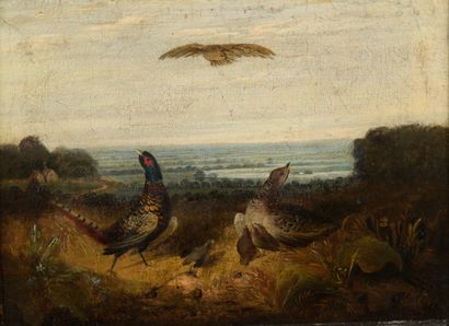 null Flemish school of the 18th century

Pheasants

Canvas.

33 x 42 cm

Restora...